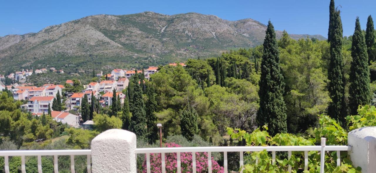 Kipre Cavtat